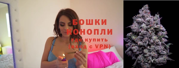 прущая мука Козловка