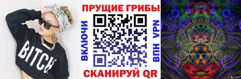 Галлюциногенные грибы прущие грибы  Купить  Верхняя Пышма 